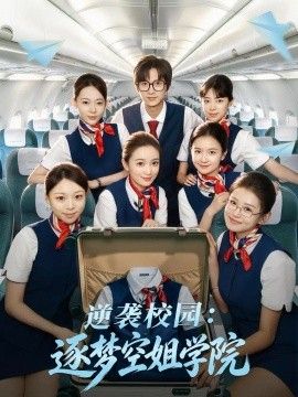 逆袭校园：逐梦空姐学院